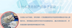 湘西怀孕4周可以做孕期亲子鉴定吗 湘西怀孕4周可以做孕期亲子鉴定吗