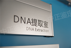 湘西隐私DNA亲子鉴定如何办理,湘西正规匿名亲子鉴定中心在哪 湘西隐私DNA亲子鉴定如何办理,湘西正规匿名亲子鉴定中心在哪